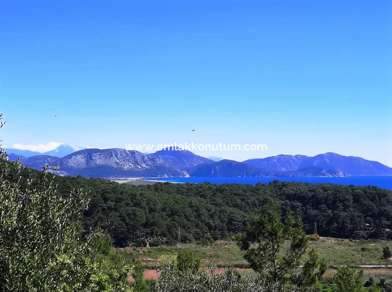 5.000 M2 Residential Zoned Land With Full Sea View In Ortaca Sarigerme For Sale