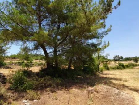 Mugla Menteşe Denizova 1869 M2 Bargain Field For Sale