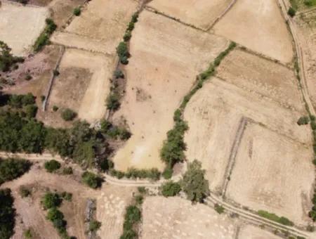 Mugla Menteşe Denizova 1869 M2 Bargain Field For Sale