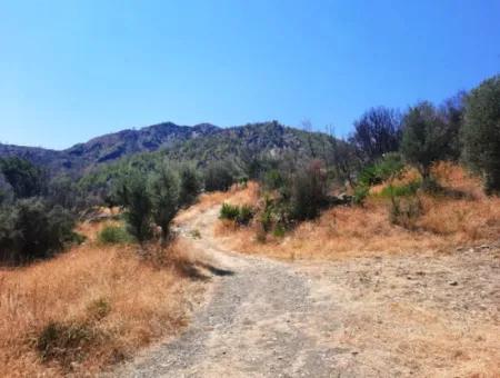 Muğla Dalaman 42.432M2 Detached Land With Title Deed For Sale