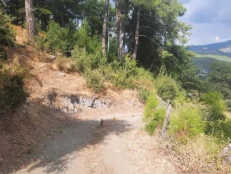 Köyceğiz Ağla Plateau 550M2 Project Ready, Zoned Bargain Land For Sale