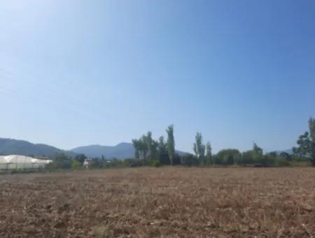 7 500 M2 Bargain Land For Sale In Ortaca Kemaliye