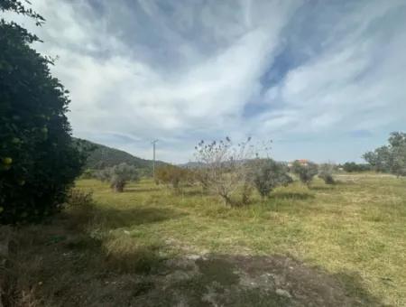 1644 M2, 250 M2 Construction Permit Land For Sale In Ortaca Fevziye