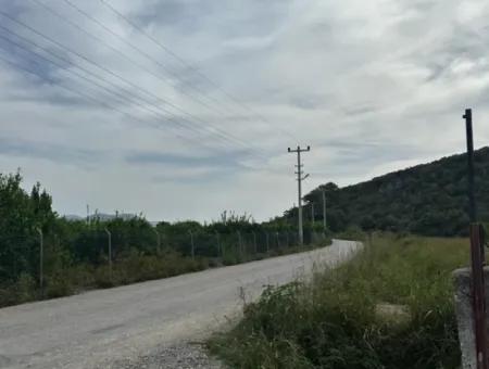 1644 M2, 250 M2 Construction Permit Land For Sale In Ortaca Fevziye