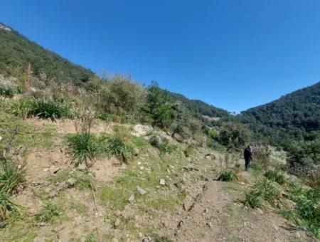 Ortaca Gökbelde Detached 12 132M2 Bargain Land In Nature For Sale