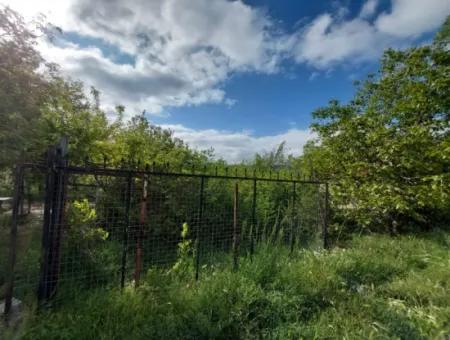 300 M2 Residential Land For Sale In The Center Of Çameli