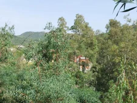 18 Villas Suitable For Mass Housing In Dalaman, 6 300 M2 Zoned Land For Sale