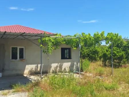 3 1 Village House For Sale In 17.000 M2 Orange Garden In Köyceğiz Toparlar