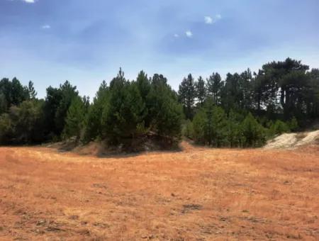 3 Parcels Of Land For Sale In Çameli Gökçeyaka