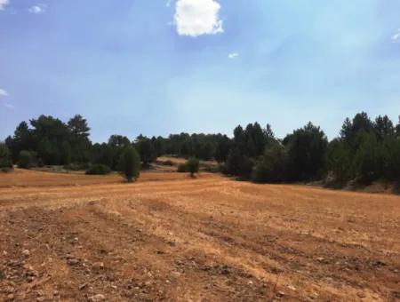 3 Parcels Of Land For Sale In Çameli Gökçeyaka