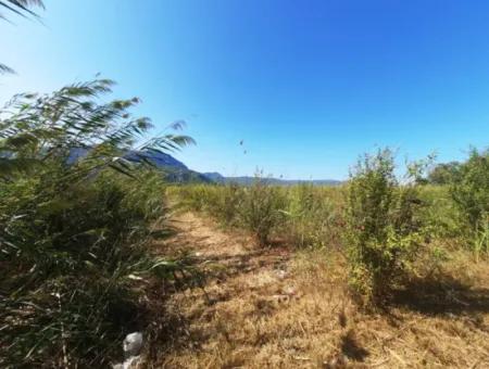 26.200 M2 Village Pasture Zero Bargain Land For Sale In Dalyan