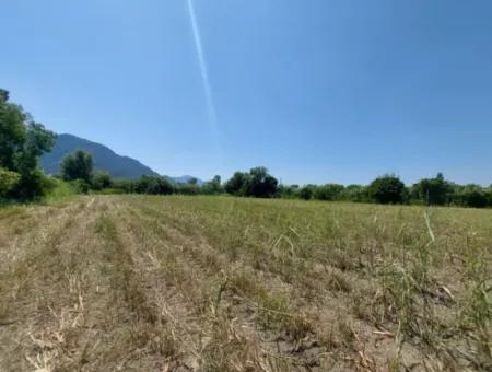 20.600 M2 Of Land In Ortaca Dalyan, 250 M2 Of Detached Land With The Right To Build A House Is For Sale