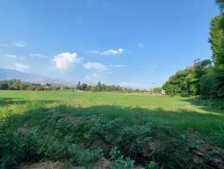 Detached 1 000 M2, 250M2 Bargain Land With Construction Rights For Sale In Köyceğiz Beyobasi