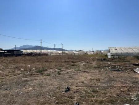 2585 M2 Detached Land Close To The Lake In Köyceğiz Çandırda For Sale