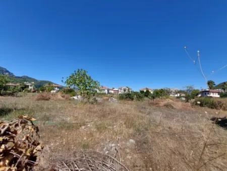 Muğla Dalyan 970 M2 Commercial Zoned Bargain Land For Sale