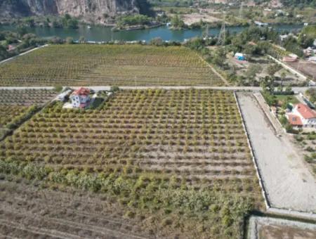 Muğla Dalyanda Canal 2Nd Parcel Detached 5.000 M2, 250 M2 Land With Construction Right For Sale