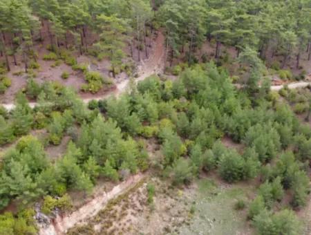 Fethiye Üzümlü Kızılbelde 7.000M2, 250M2 Land For Sale With Construction Rights Suitable For Investment