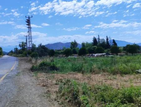 Muğla Ortaca Fevziye 8.440 M2 Land, 703 M2 Shared Field For Sale