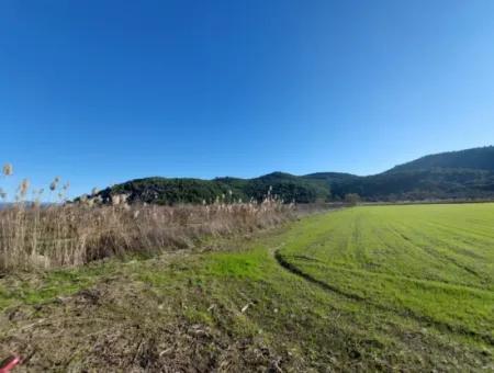 19.000 M2 Kepir Fertile Land Suitable For Investment In Ortaca Güzelyurt For Sale