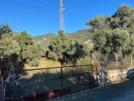 For Sale 3.300 M2 Land Suitable For Deposit In Muğla, Köyceğiz, Ekincik