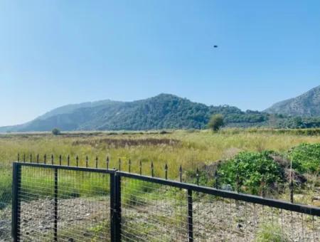 Fields Suitable For Cooperative In Ortaca Güzelyurt Are For Sale