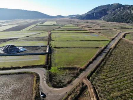 Fields Suitable For Cooperative In Ortaca Güzelyurt Are For Sale