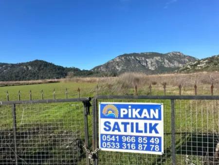 Fields Suitable For Cooperative In Ortaca Güzelyurt Are For Sale