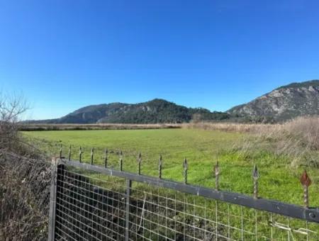 Fields Suitable For Cooperative In Ortaca Güzelyurt Are For Sale