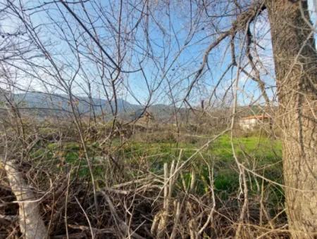 2585 M2 Detached Land Close To The Lake In Köyceğiz Çandırda For Sale