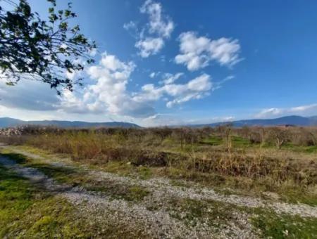 24.800 M2 Investment And Pomegranate Garden Suitable For Agricultural Loan For Sale In Ortaca Tepearası