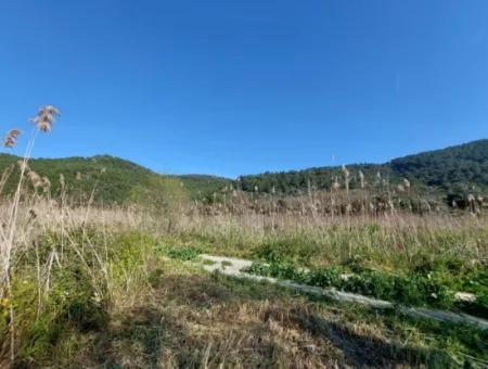 Fertile 6.350 M2 Land For Sale In Muğla Ortaca Güzelyurt