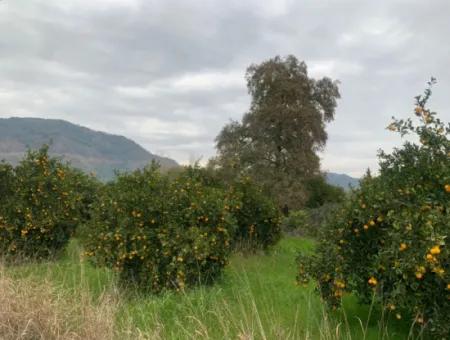 1084 M2 Zoned Bargain Land For Sale In Ortaca Ekşiliyurt