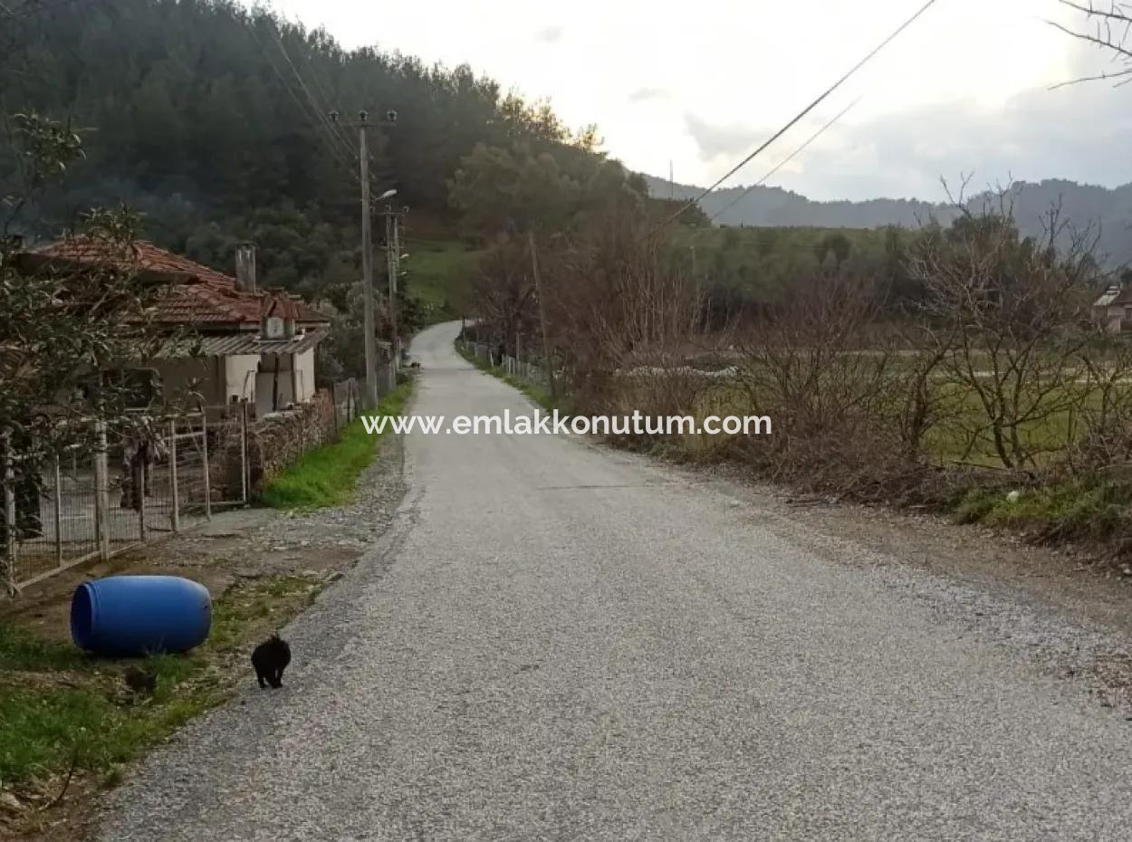 Muğla Ula Portakallık Ta Müstakil Tapulu 1 722 M2  Verimli Arazi Satılık