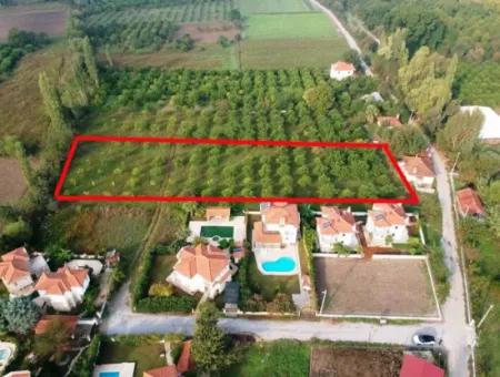 Muğla Okçular Marmarlıda 4.000M2 İmar Planı İçinde Arsa Yatırıma Uygun Satılık