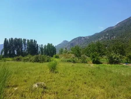 Köyceğizde Satılık Arazi 3700 M2