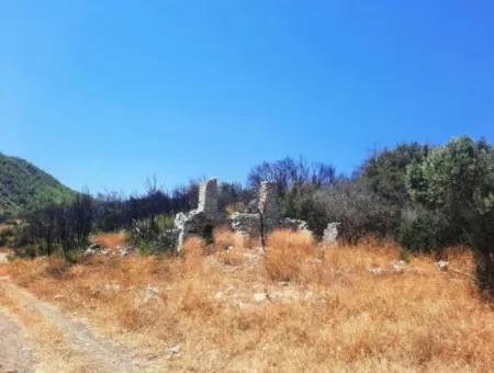 Muğla Dalamanda 42.432M2 Müstakil Tapulu Arazi Satılık