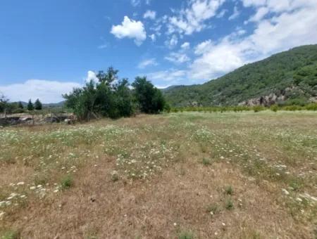 Köyceğiz Çandırda  Müstakil Tapulu 33.800 M2 Tarla Satılık