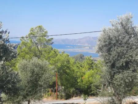 Muğla Dalyan Gökbelde Deniz Ve Göl Manzaralı, Yüzme Havuzlu, Eşyalı Taş Ev Kiralık