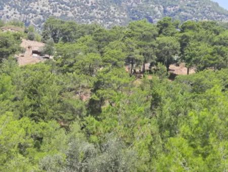 Dalyan Gökbelde Göl Ve Deniz Manzaralı Müstakil Tapulu Satılık 82 M2 Arazi Satılık