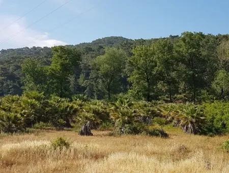 Kemaliye De Satılık Anayola Sıfır Arazi