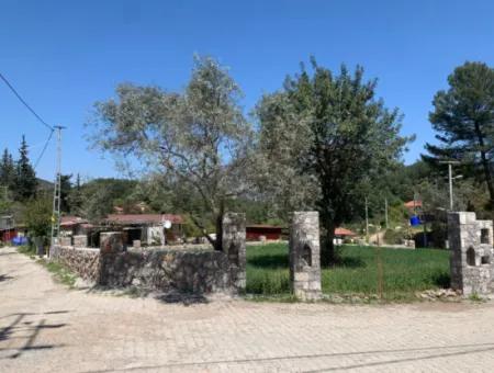 Dalyan Gökbelde 678 M2 Hisse Satılık