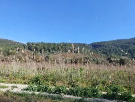 Muğla Ortaca Güzelyurtta Satılık Verimli 6.350 M2 Arazi